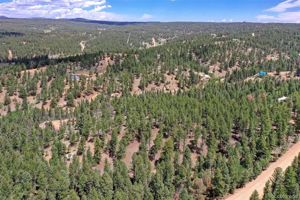 293 Badger Trail Florissant CO 80816