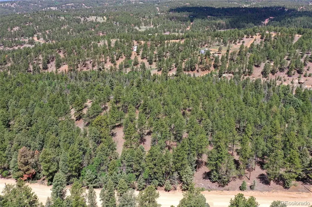 293 Badger Trail Florissant CO 80816