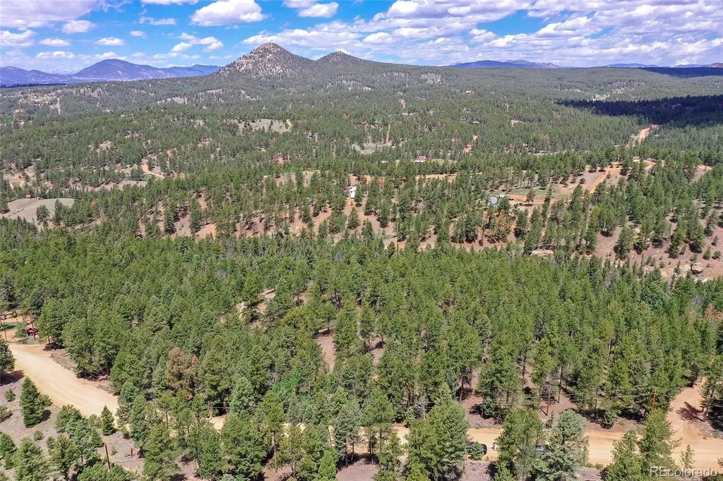 293 Badger Trail Florissant CO 80816