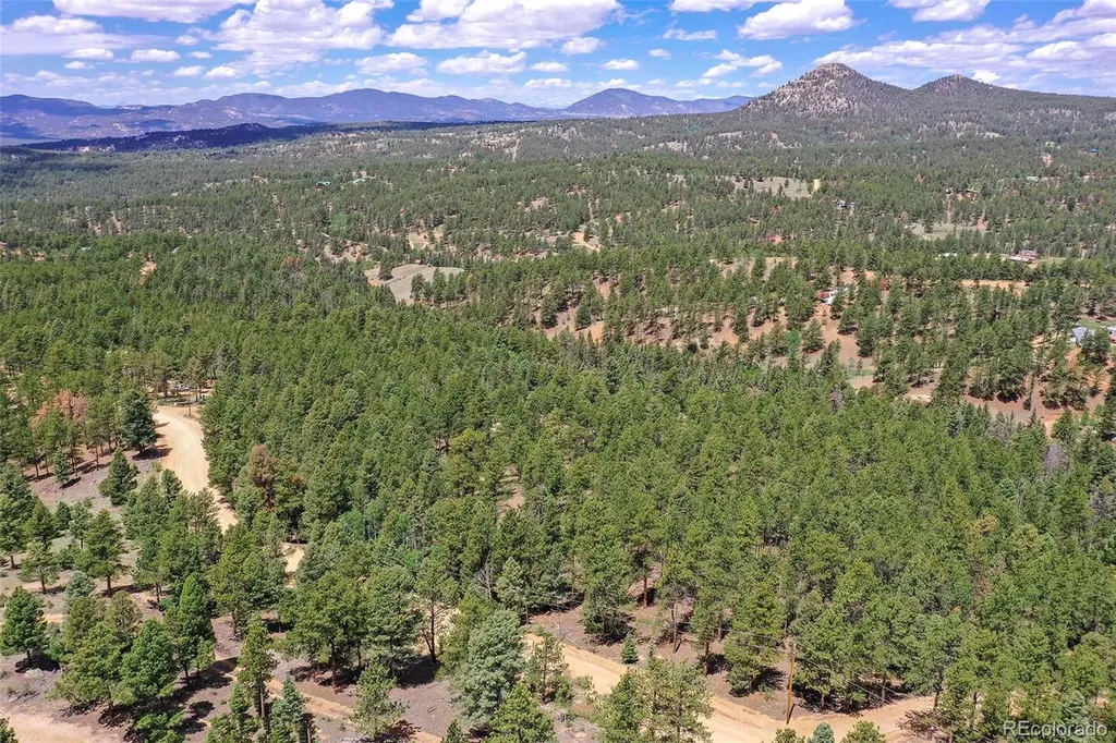 293 Badger Trail Florissant CO 80816