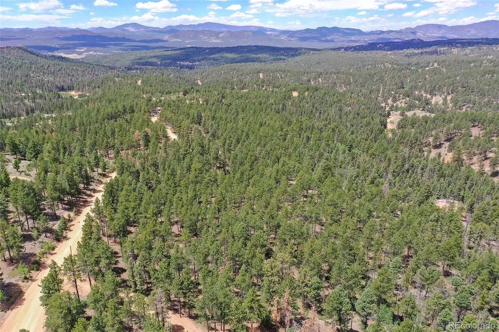 293 Badger Trail Florissant CO 80816