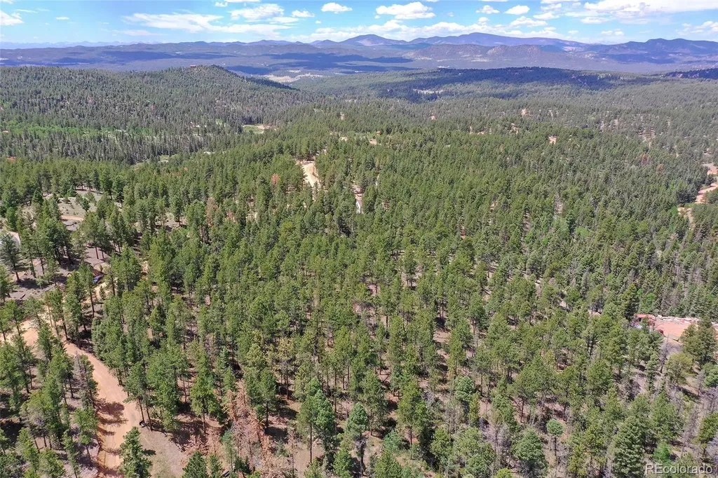 293 Badger Trail Florissant CO 80816
