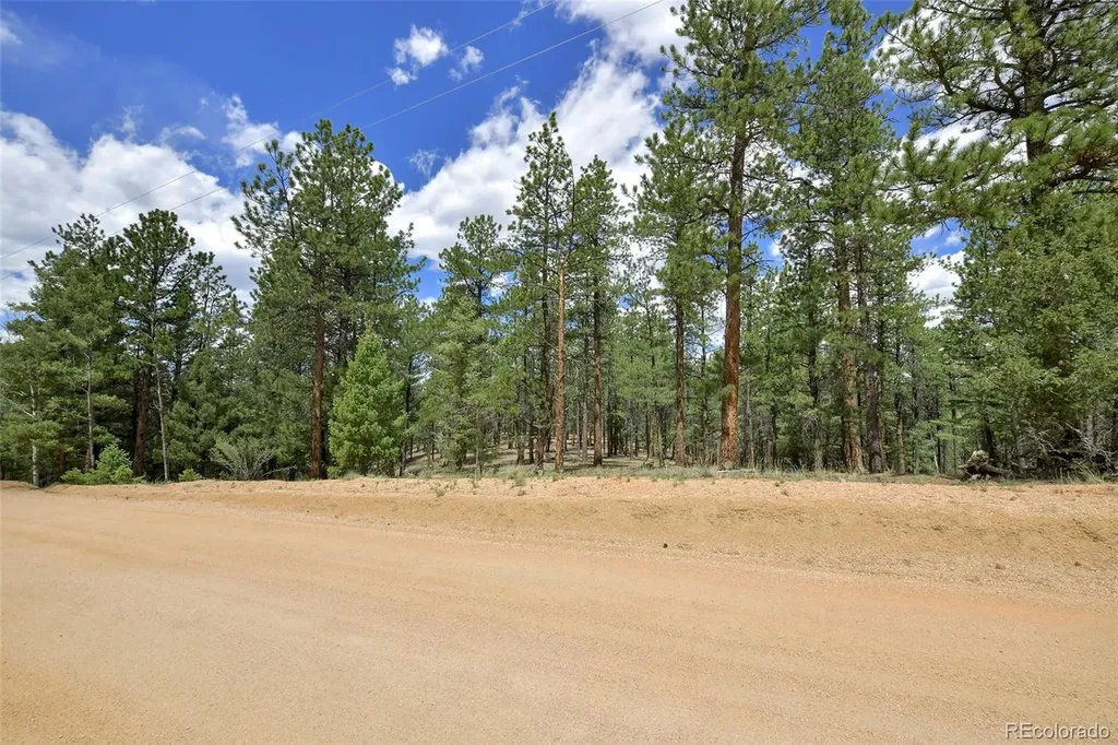 293 Badger Trail Florissant CO 80816