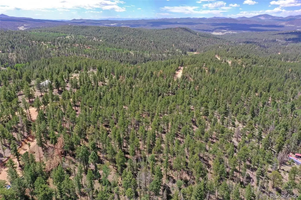 293 Badger Trail Florissant CO 80816
