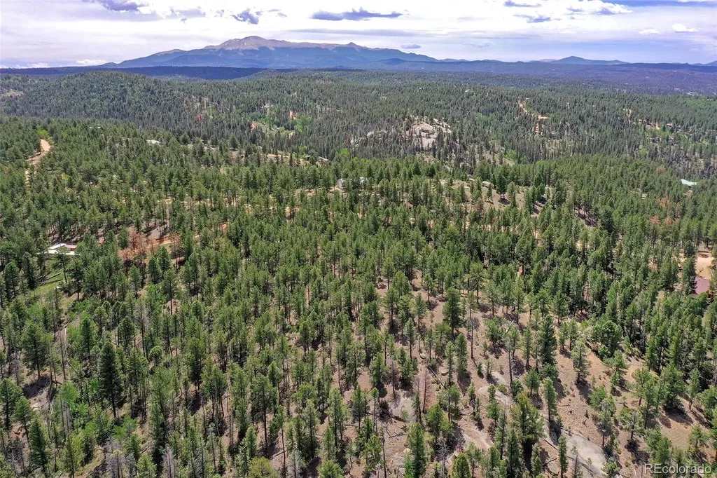 293 Badger Trail Florissant CO 80816