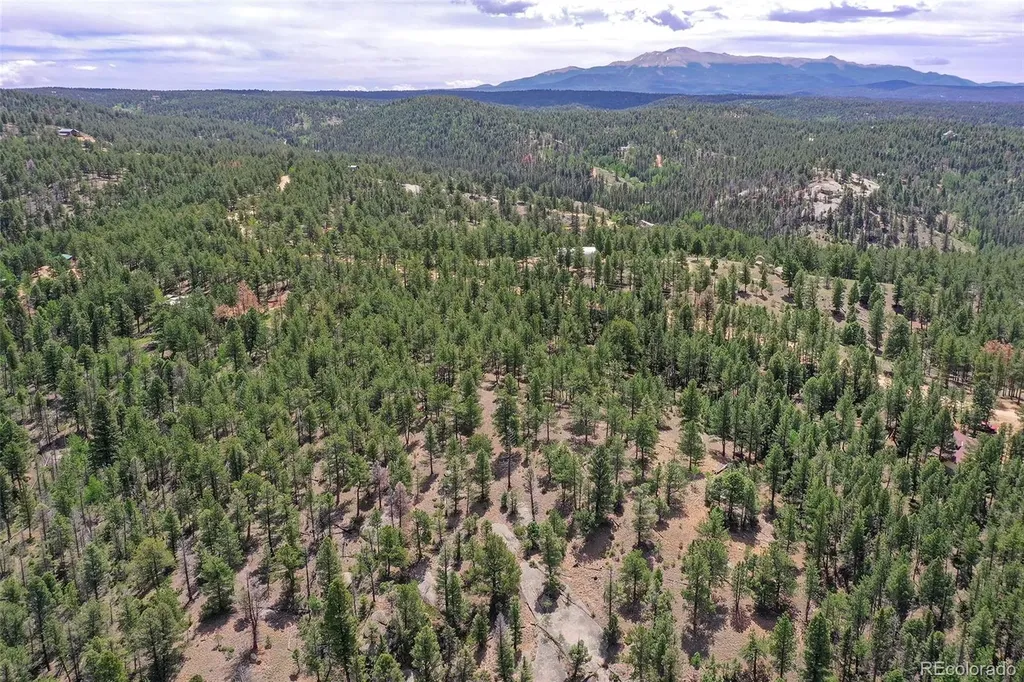 293 Badger Trail Florissant CO 80816