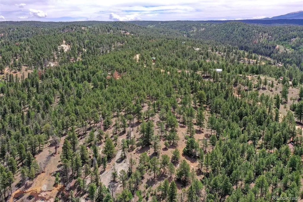 293 Badger Trail Florissant CO 80816