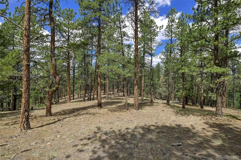 293 Badger Trail Florissant CO 80816