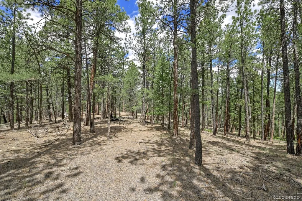 293 Badger Trail Florissant CO 80816