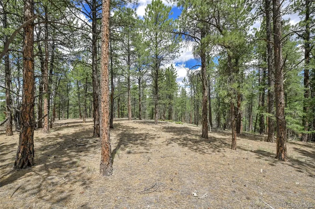 293 Badger Trail Florissant CO 80816
