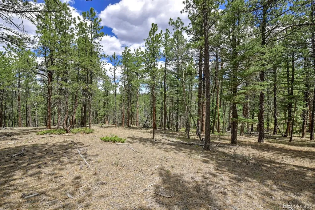 293 Badger Trail Florissant CO 80816