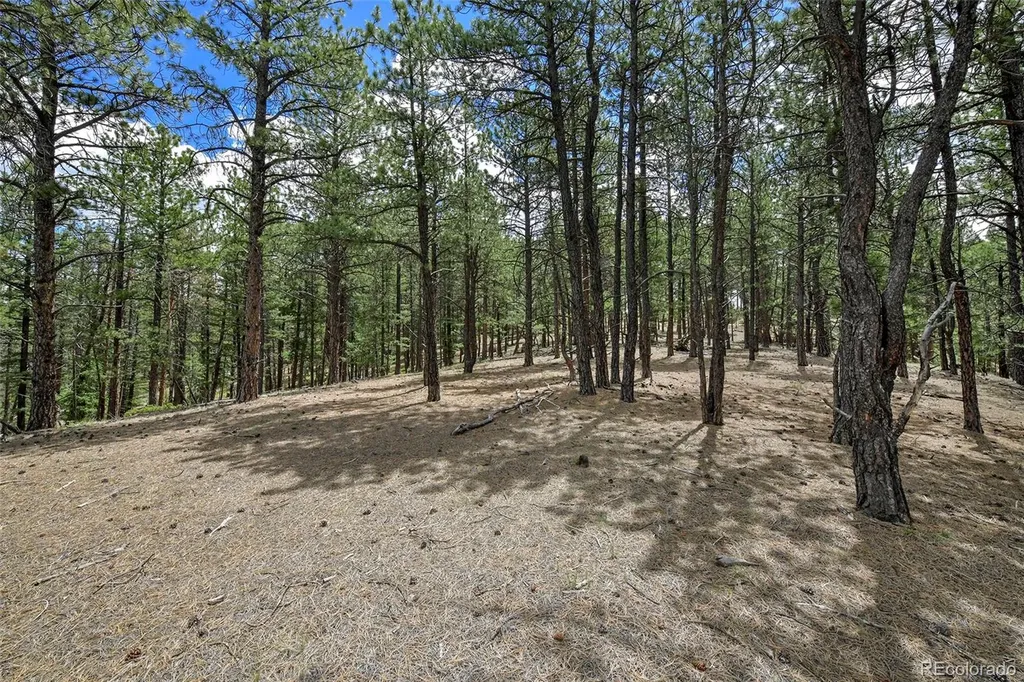 293 Badger Trail Florissant CO 80816