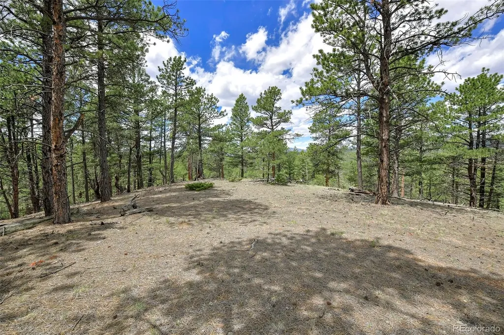 293 Badger Trail Florissant CO 80816