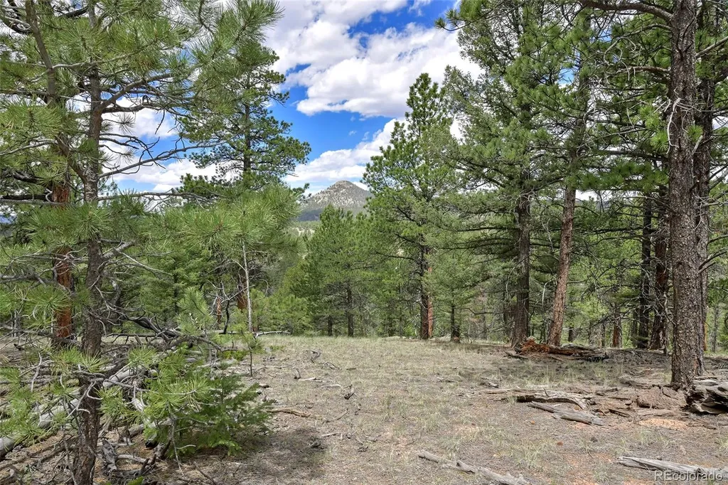 293 Badger Trail Florissant CO 80816