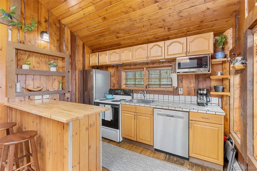 148 Green Mountain Avenue Silverthorne CO 80498