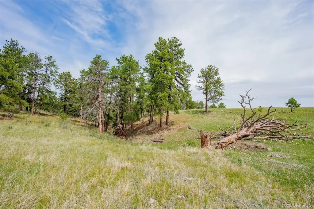 12400 County Road 102 Elbert CO 80106