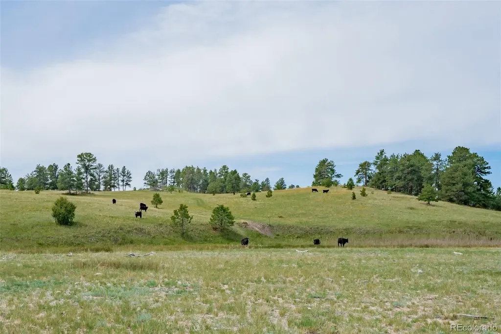 12400 County Road 102 Elbert CO 80106