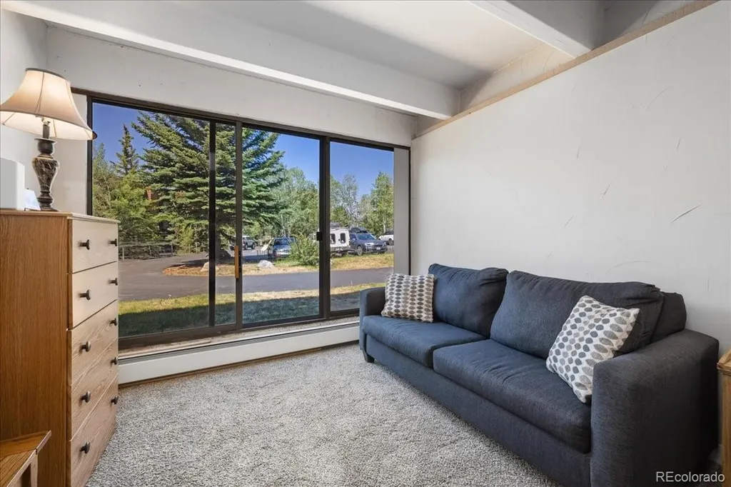 220 E La Bonte Street Dillon CO 80435