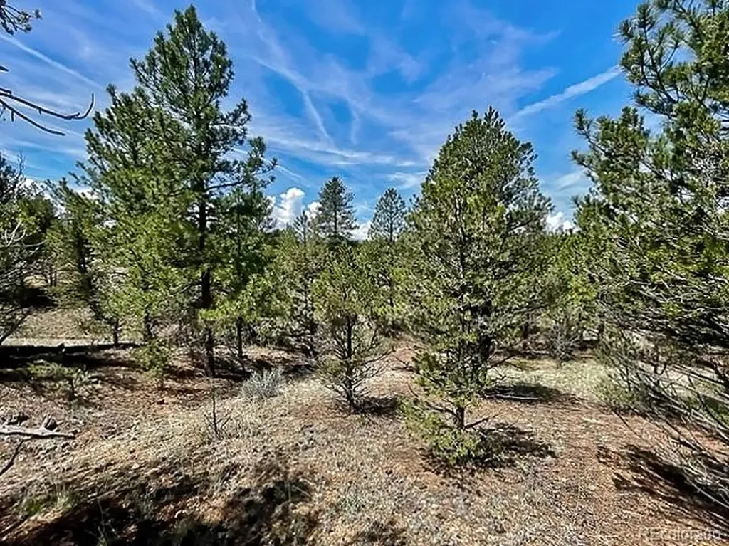7080 Copper Gulch Road Cotopaxi CO 81223