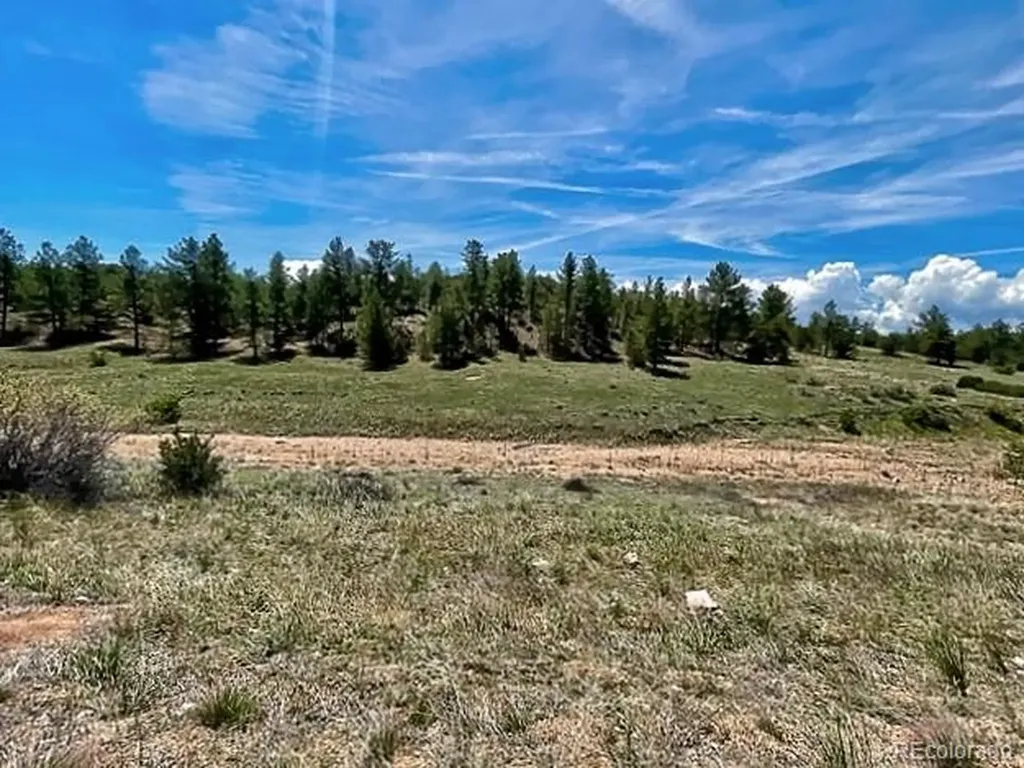 7080 Copper Gulch Road Cotopaxi CO 81223