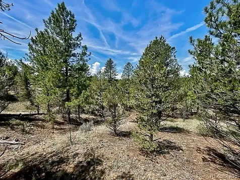 7080 Copper Gulch Road Cotopaxi CO 81223