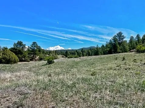 7080 Copper Gulch Road Cotopaxi CO 81223