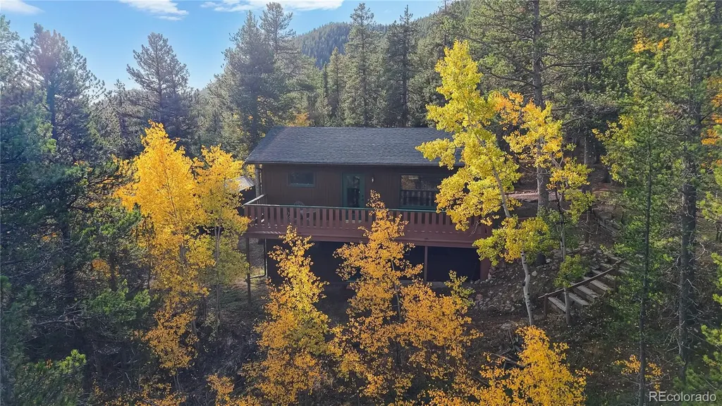 225 Renaud Road Bailey CO 80421