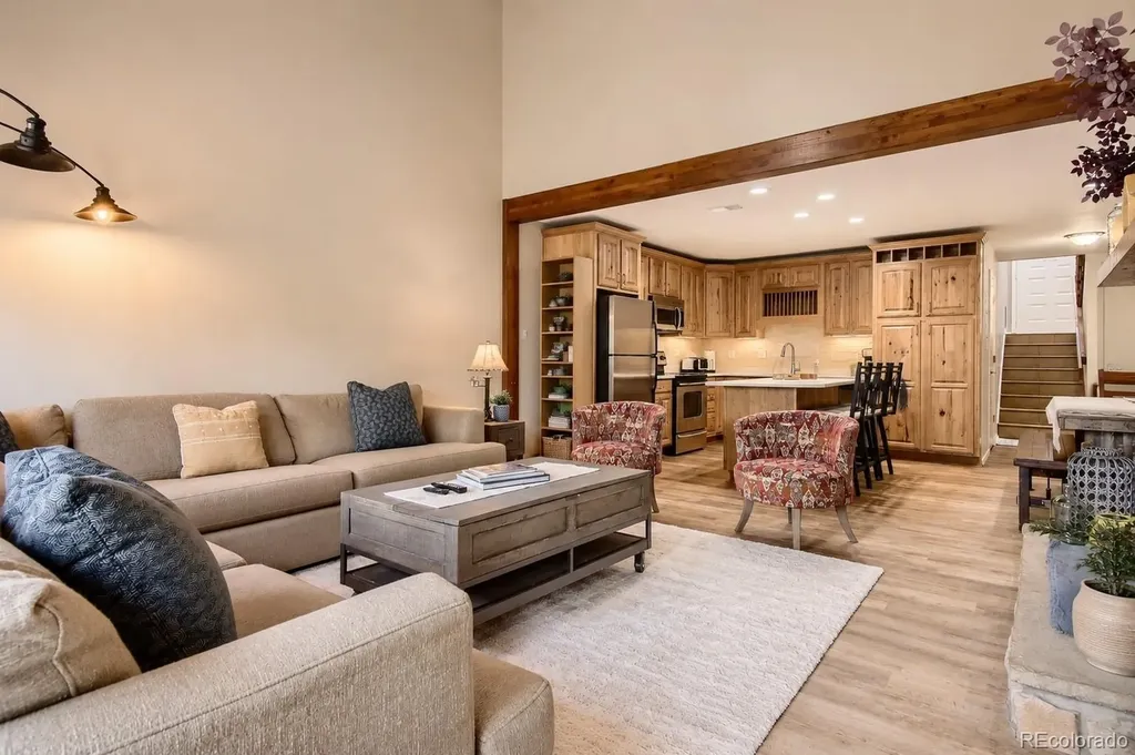 10500 Ryan Gulch Road Silverthorne CO 80498