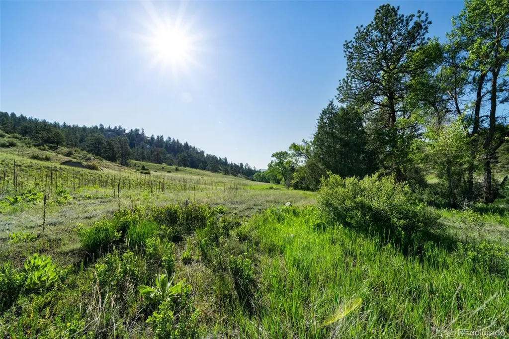 22511 Resort Creek Road Foxton CO 80433