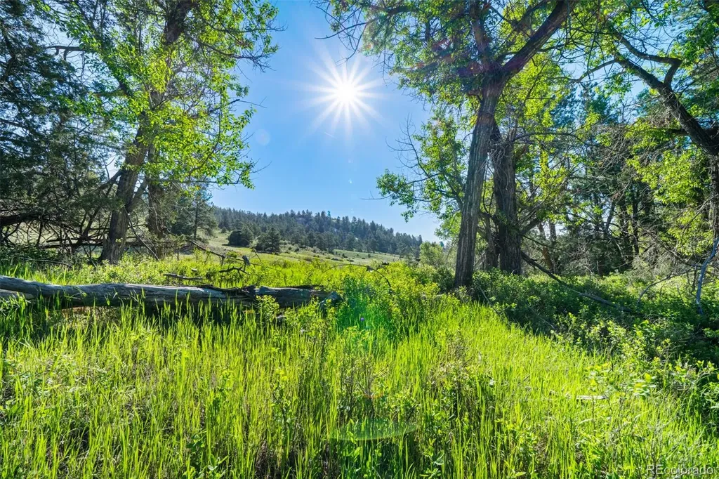 22511 Resort Creek Road Foxton CO 80433