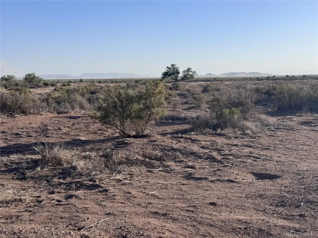 Lots 3,4,5,6 Seventeenth Street Blanca CO 81123
