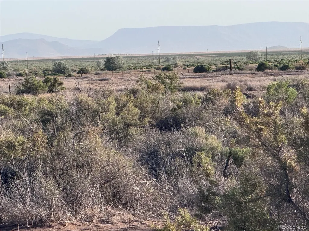 Lots 3,4,5,6 Seventeenth Street Blanca CO 81123