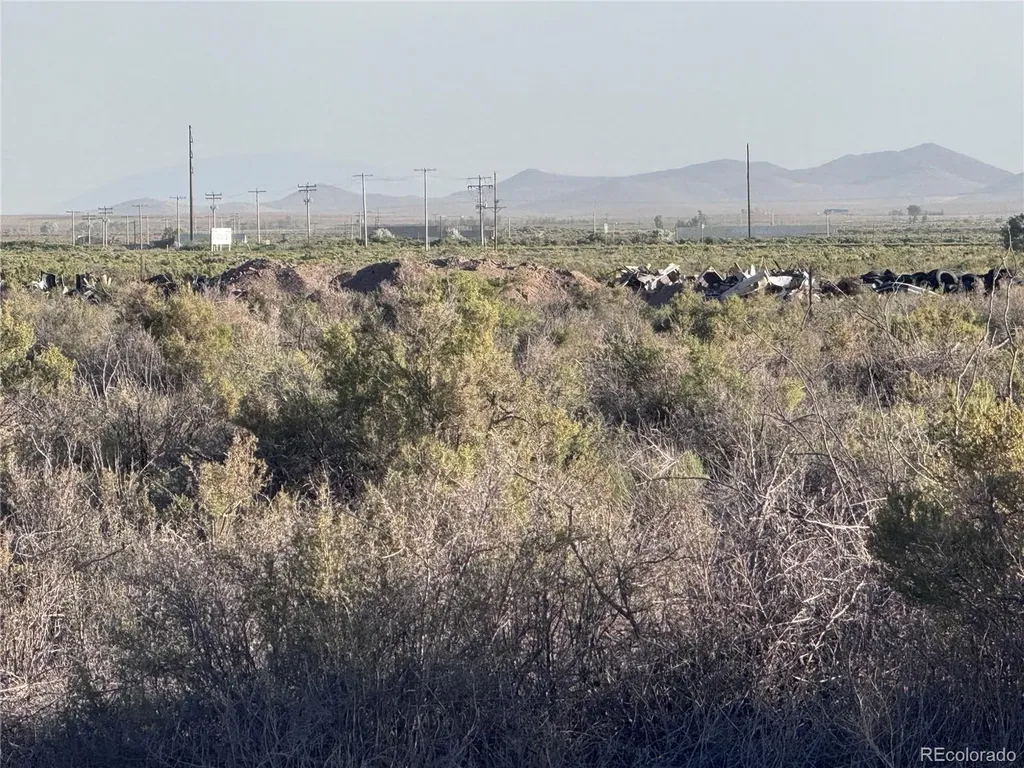 Lots 3,4,5,6 Seventeenth Street Blanca CO 81123