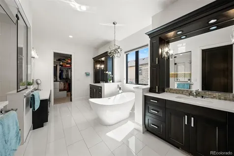 258 Castlemaine Court Castle Rock CO 80104