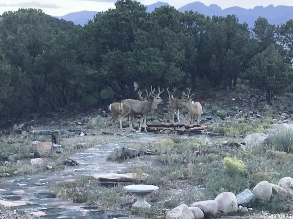 850 Insula Road Westcliffe CO 81252