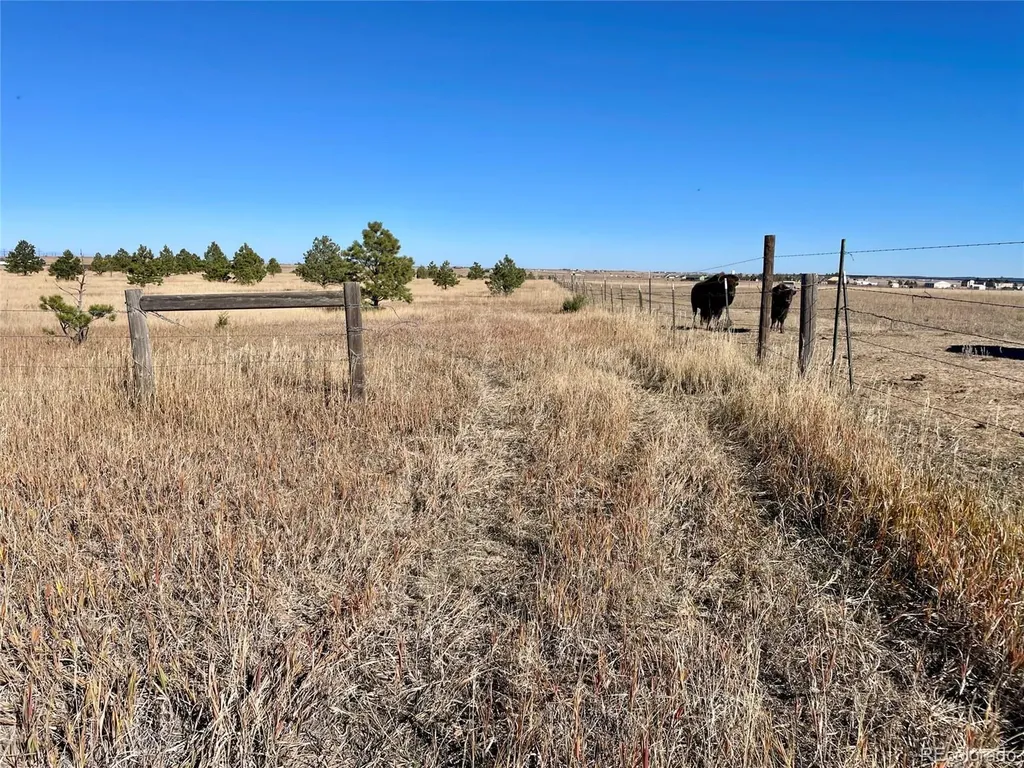 Parcel A County Road 98 Elbert CO 80106