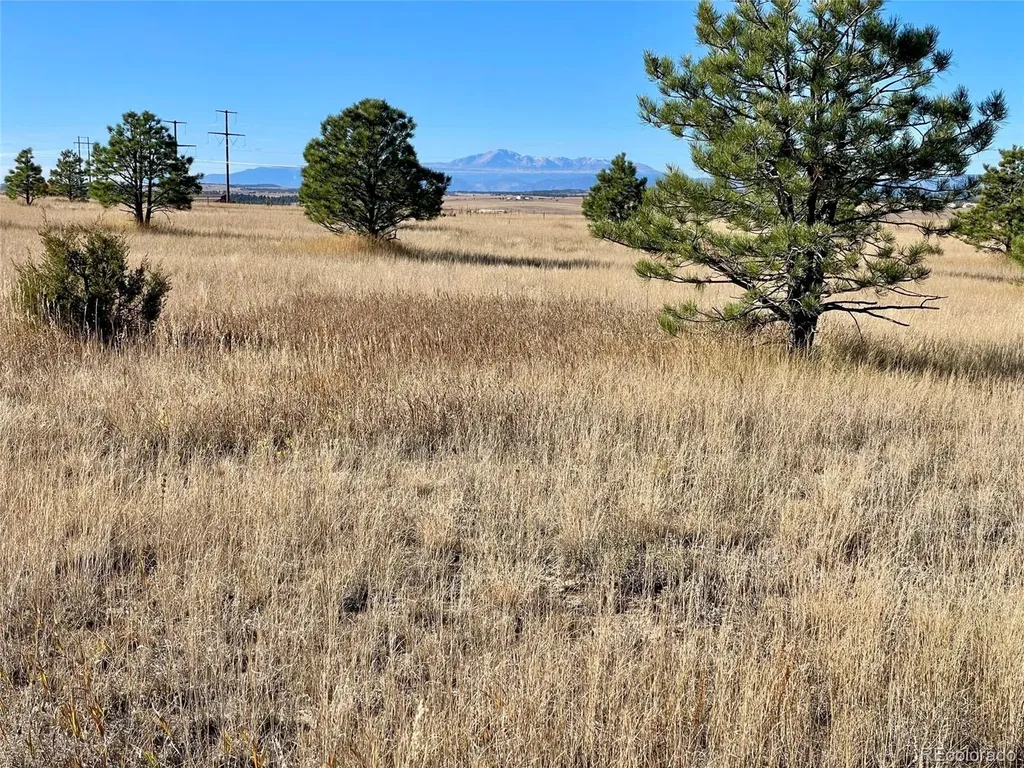 Parcel A County Road 98 Elbert CO 80106