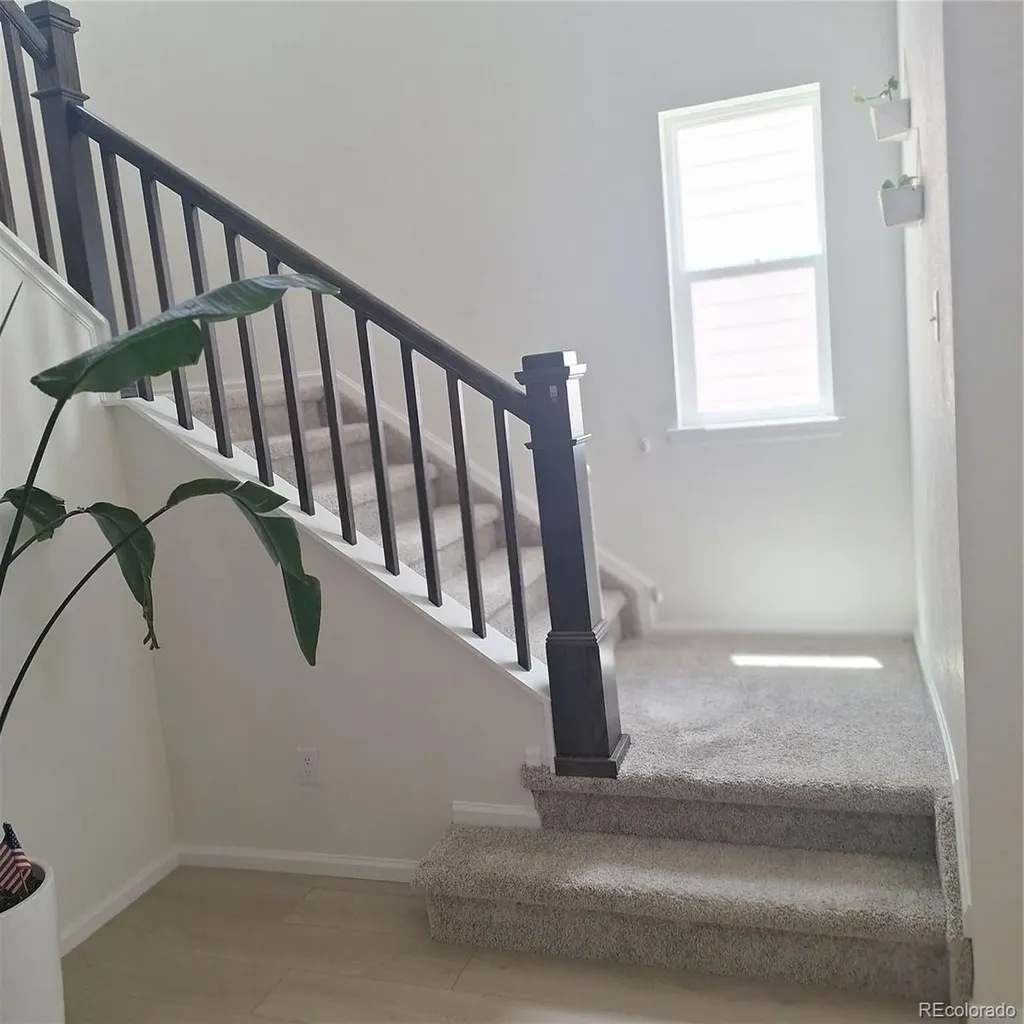 5741 Mammoth Lane Colorado Springs CO 80927