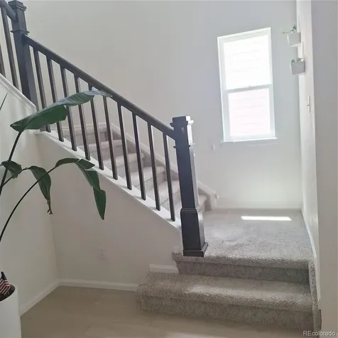 5741 Mammoth Lane Colorado Springs CO 80927
