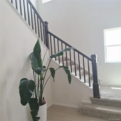 5741 Mammoth Lane Colorado Springs CO 80927