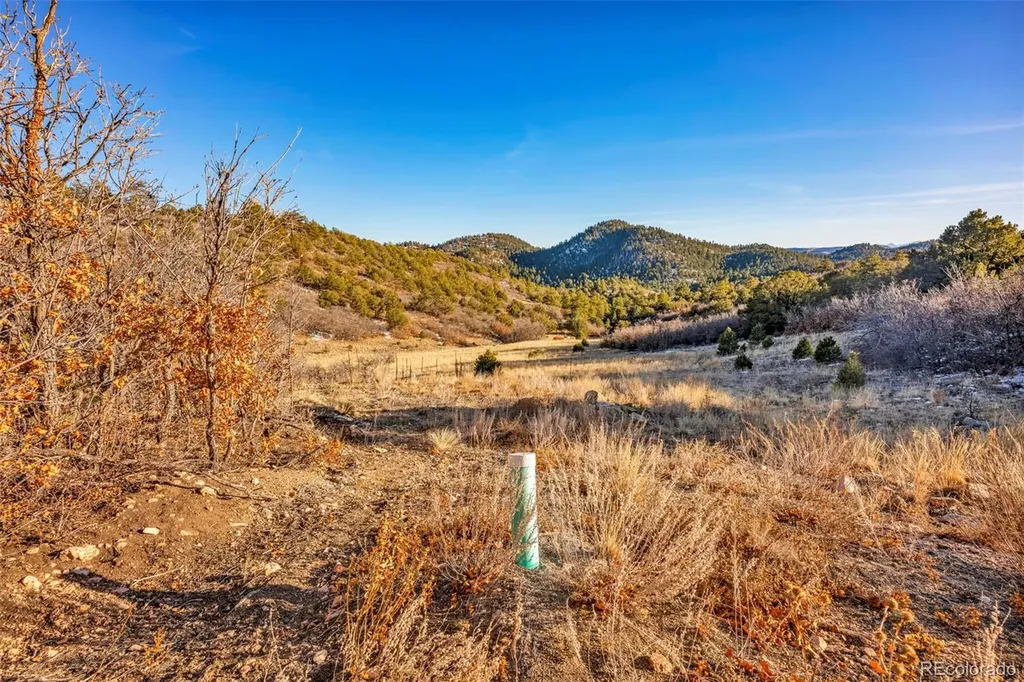 303 Peak View Place Canon City CO 81212