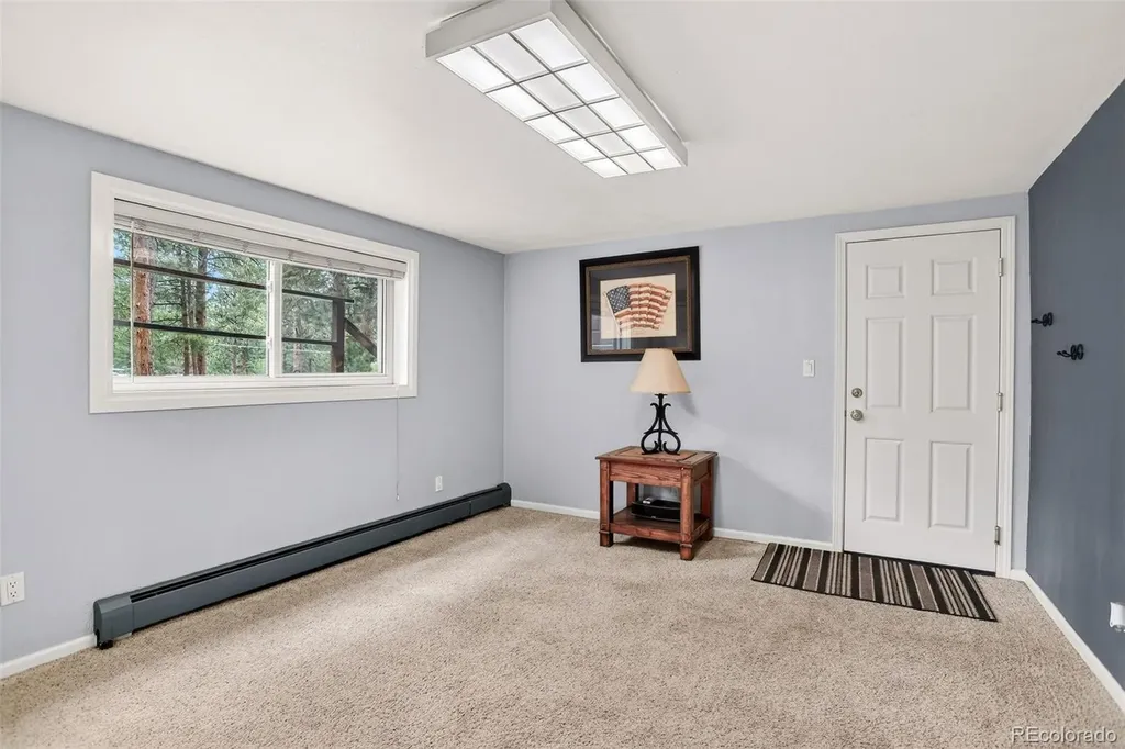 28110 Pine Drive Evergreen CO 80439