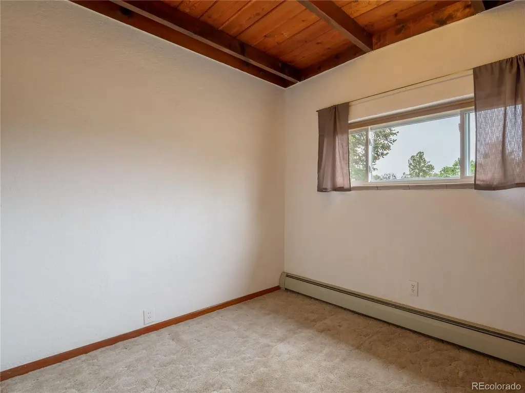 438 Crossman Avenue Buena Vista CO 81211