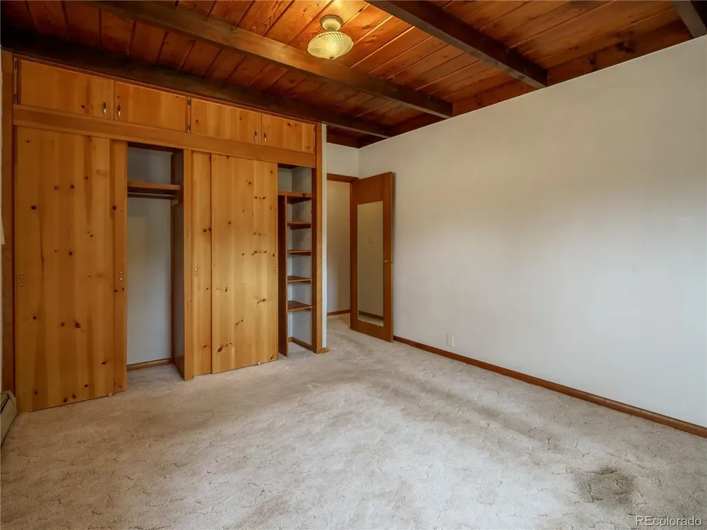 438 Crossman Avenue Buena Vista CO 81211