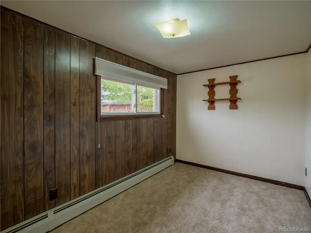 438 Crossman Avenue Buena Vista CO 81211
