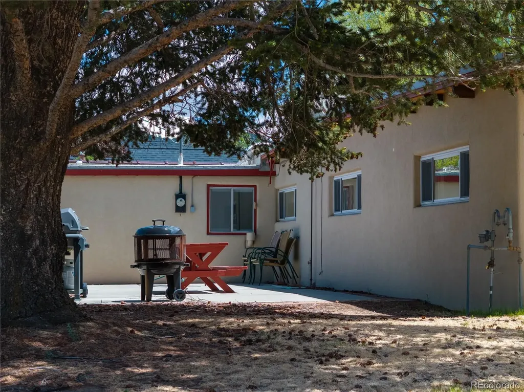 438 Crossman Avenue Buena Vista CO 81211