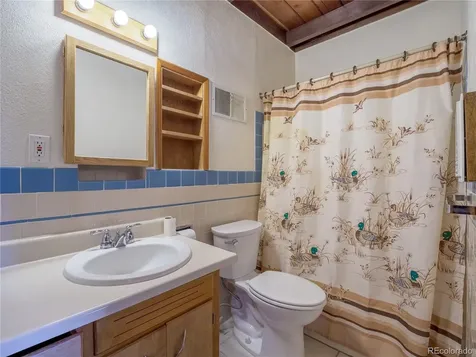 438 Crossman Avenue Buena Vista CO 81211