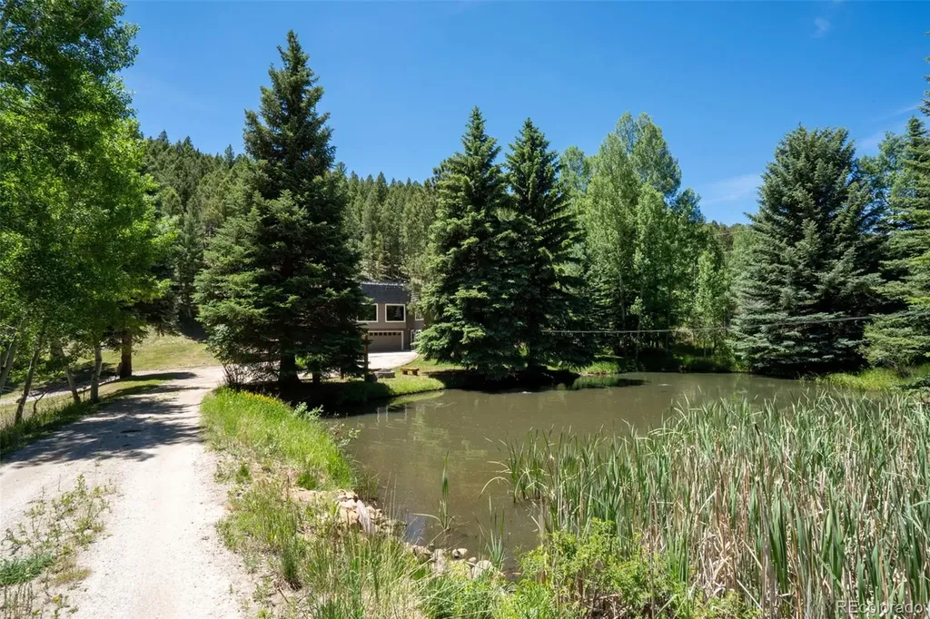 384 Brookside Drive Bailey CO 80421
