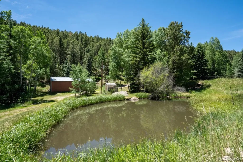 384 Brookside Drive Bailey CO 80421