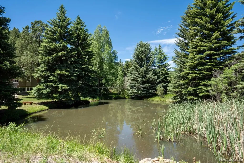 384 Brookside Drive Bailey CO 80421